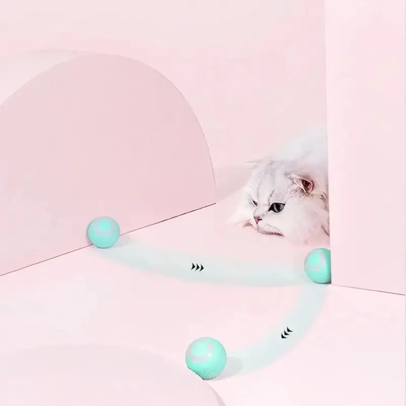Pallina Interattiva Per Gatti Divertente