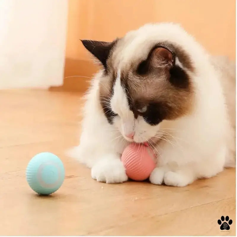 Pallina Interattiva Per Gatti Per Gattini