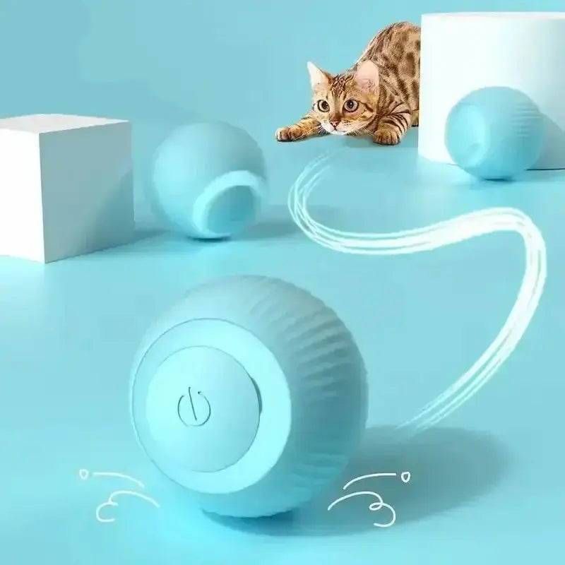 Pallina Interattiva Per Gatti