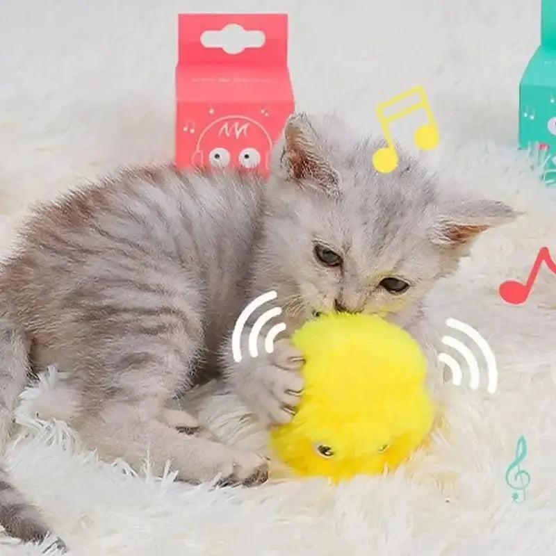 Pallina Per Gatti Che Si Muove Da Sola Divertente
