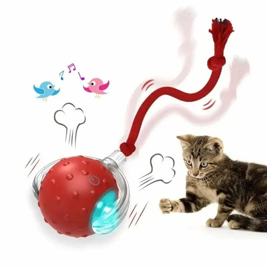 Pallina Per Gatti Interattivo