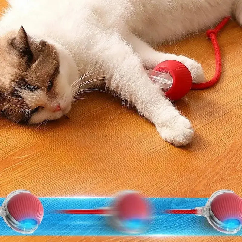 Pallina Per Gatti Resistente