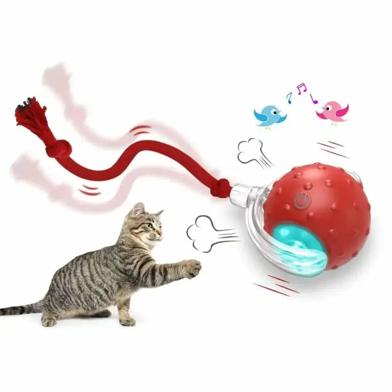 Pallina Per Gatti