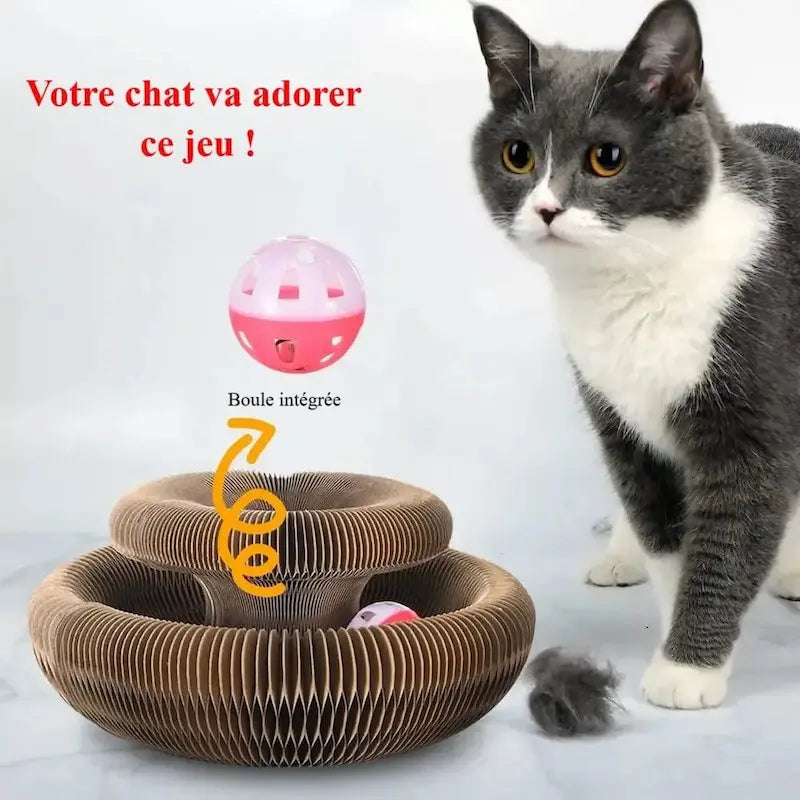 Pallina Per Gatto Divertente