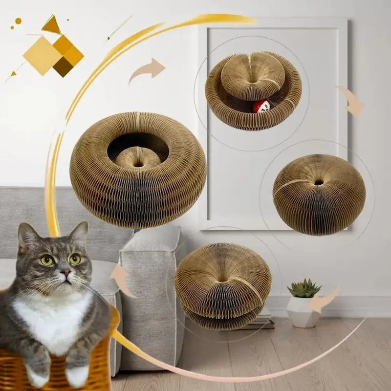 Pallina Per Gatto Per Gattini