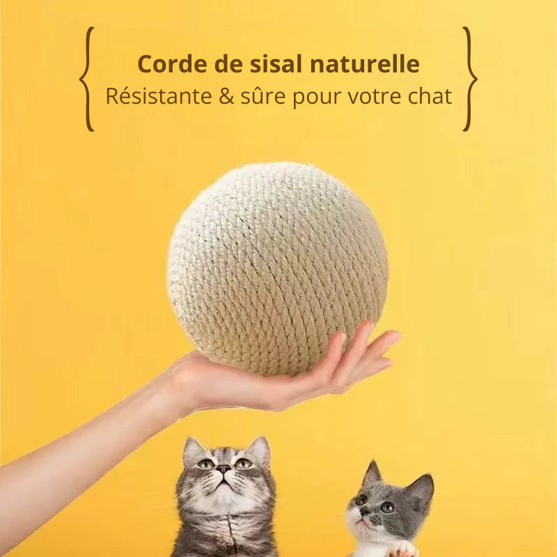 Palline Morbide Per Gatti Per Gattini