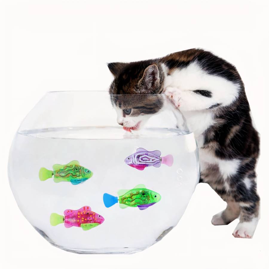 Pesce Finto Per Gatti Anti Noia