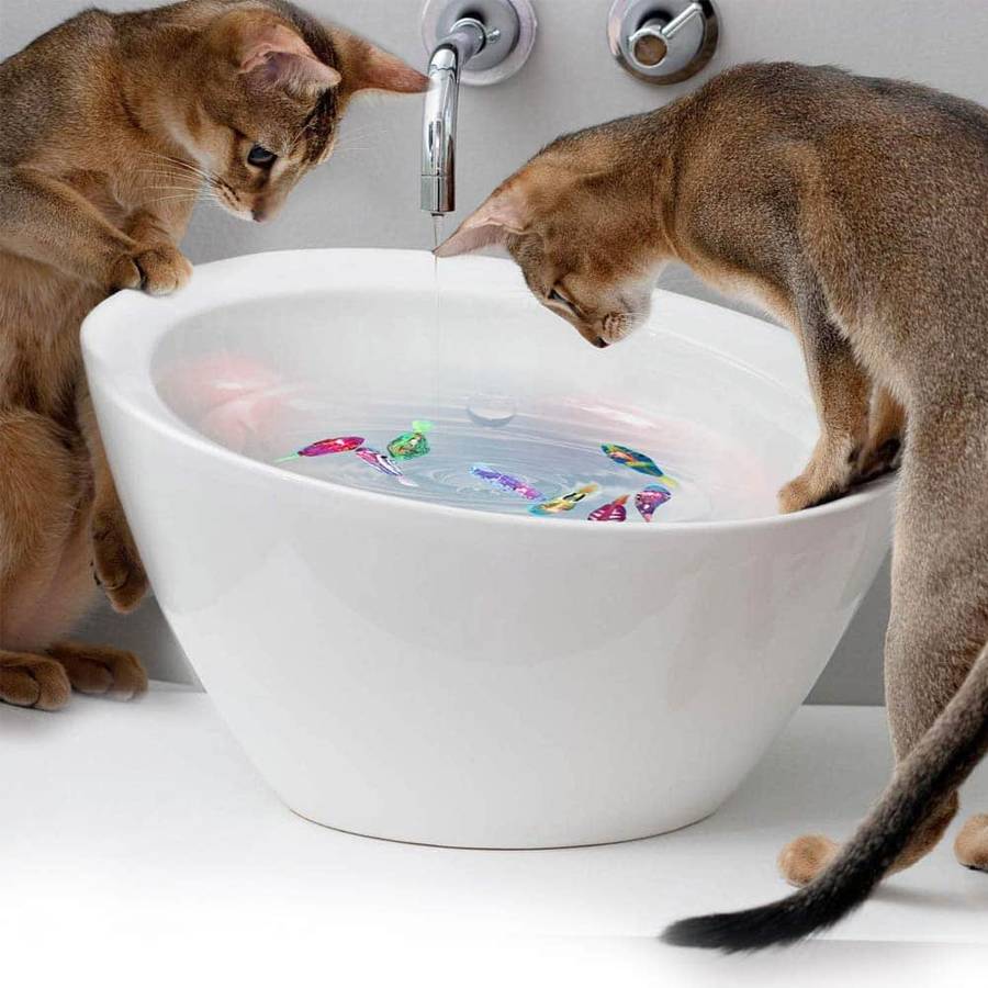 Pesce Finto Per Gatti Divertente