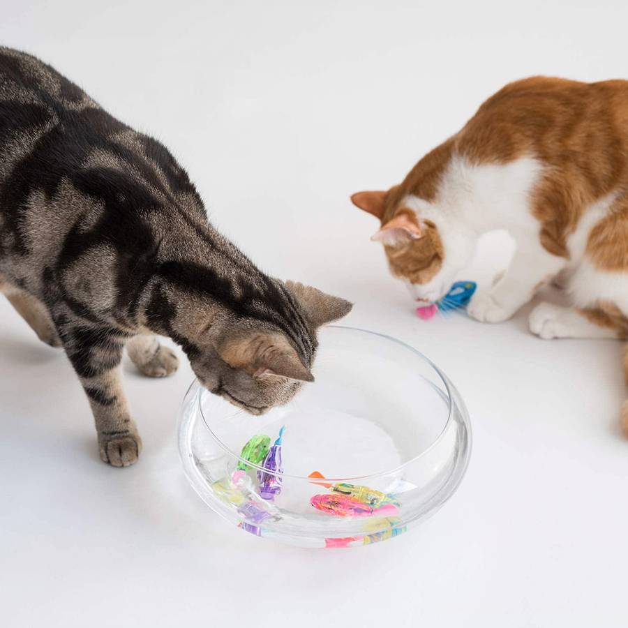 Pesce Finto Per Gatti Resistente