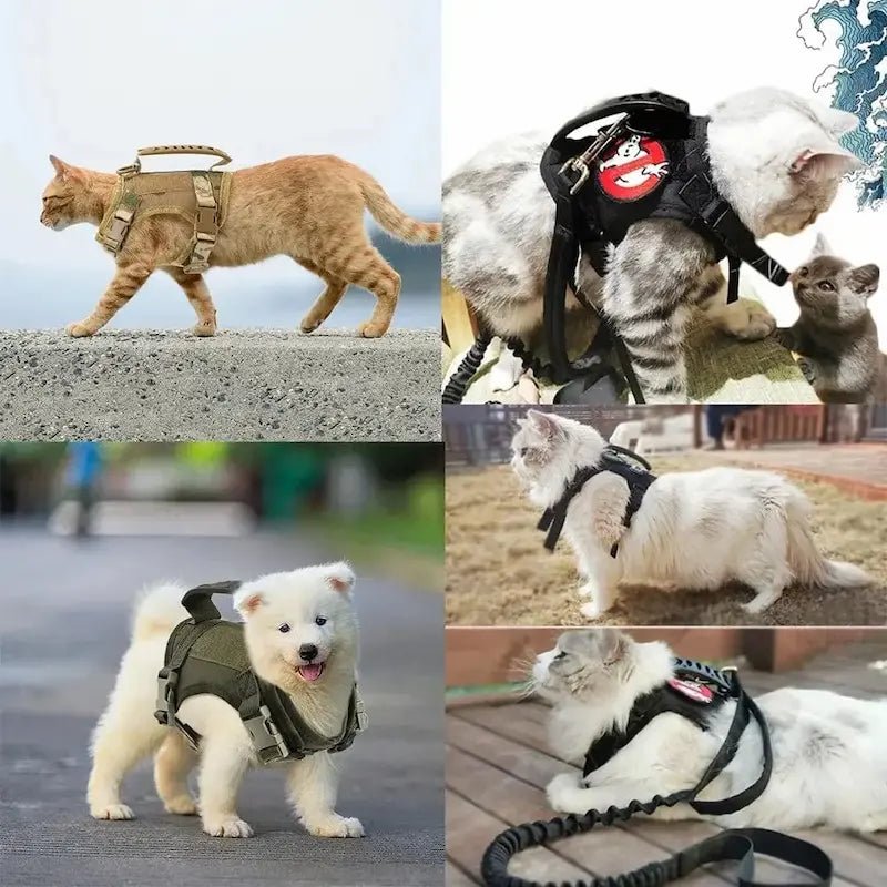 Pettorina Antifuga Gatto Leggera