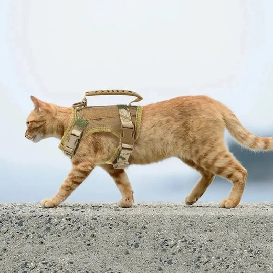 Pettorina Antifuga Gatto
