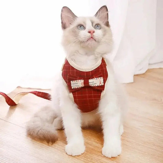 Pettorina Con Fiocco Per Gatti