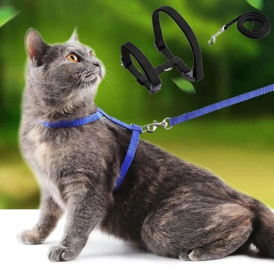 Pettorina E Guinzaglio Gatto