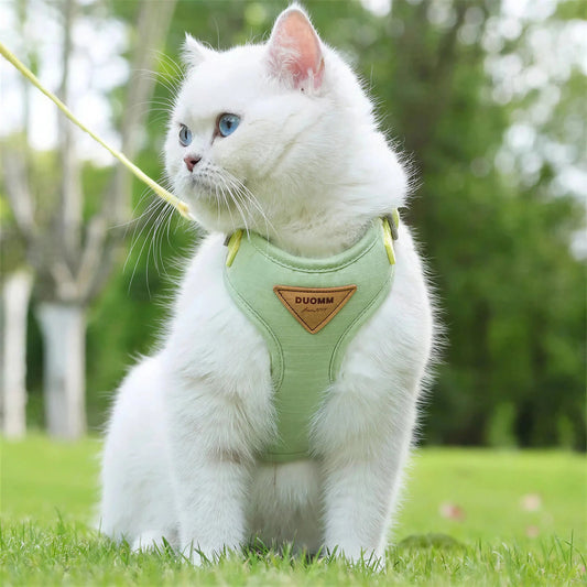 Pettorina Facile Da Indossare Per Gatti