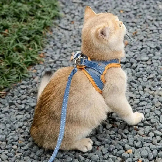Pettorina Gatti Antifuga Per Gatti