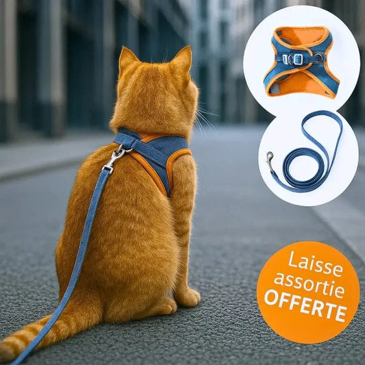Pettorina Gatti Antifuga