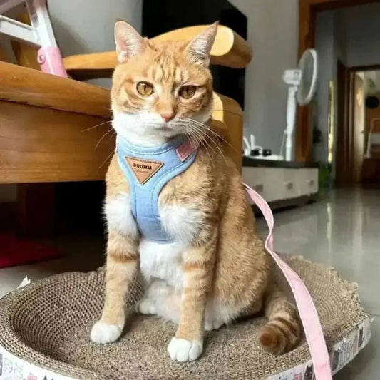 Pettorina Gatto Antifuga Per Gatti