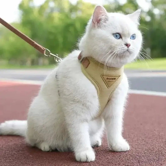 Pettorina Gatto Antifuga