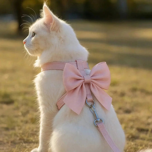 Pettorina Gatto Con Fiocco Per Gatti