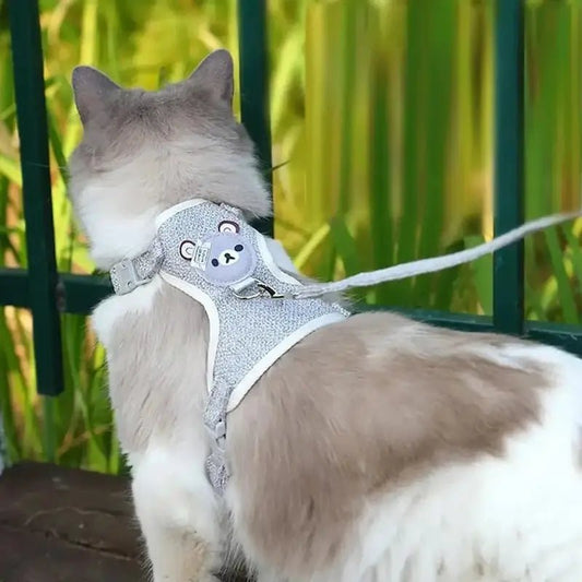 Pettorina Gatto Cucciolo Per Gatti