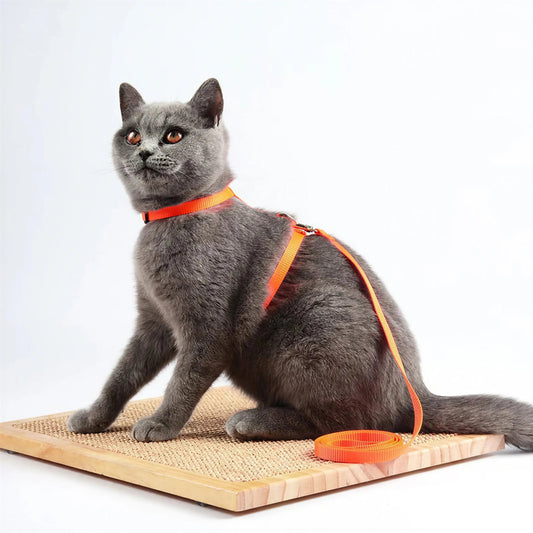 Pettorina In Nylon Per Gatti Antifuga