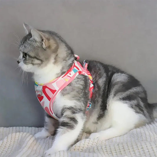 Pettorina Per Gatti Adulti Antifuga