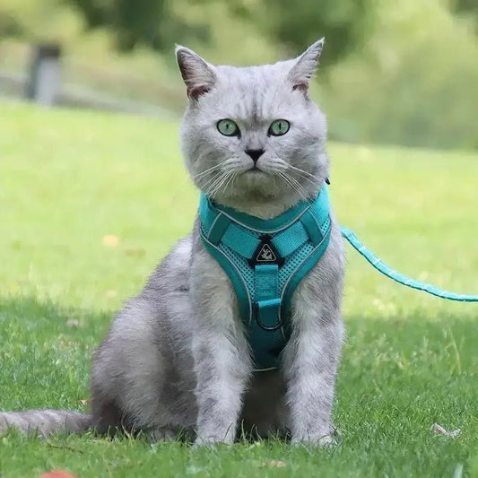Pettorina Per Gatti Antifuga Regolabile