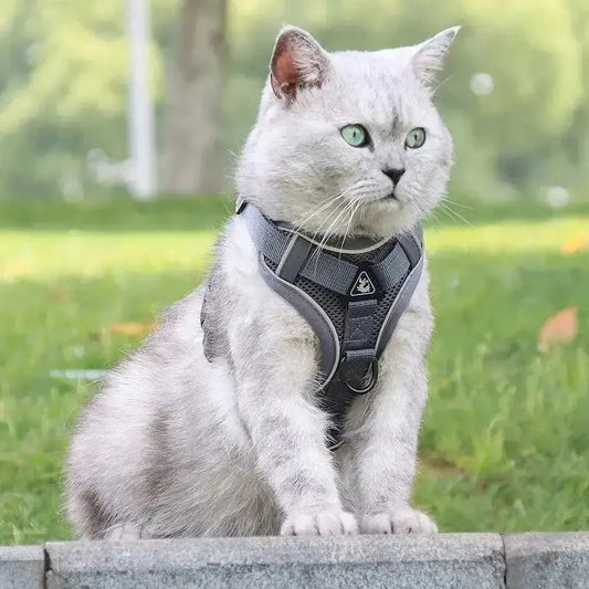 Pettorina Per Gatti Antifuga