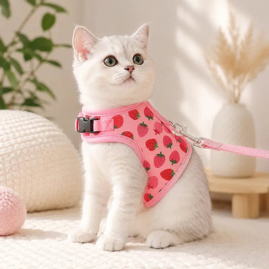 Pettorina Per Gatto Antifuga