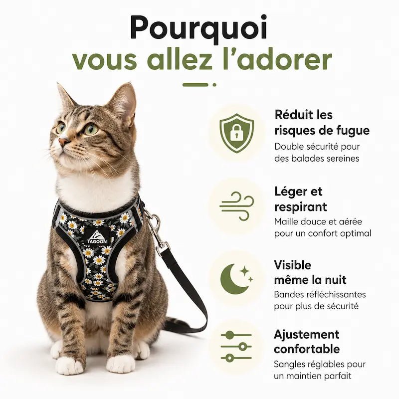 Pettorina Per Gatto Antifuga