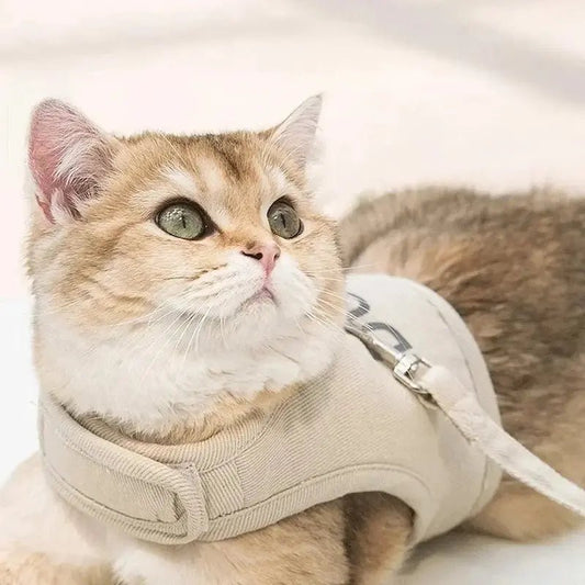 Pettorina Per Gatto Regolabile Per Gatti