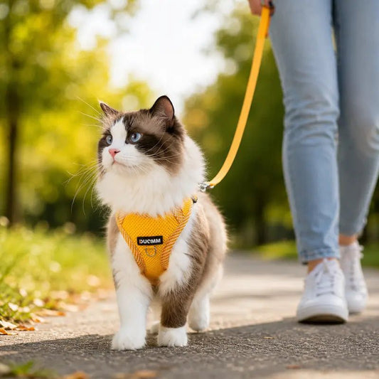 Pettorine Per Gatti Antifuga