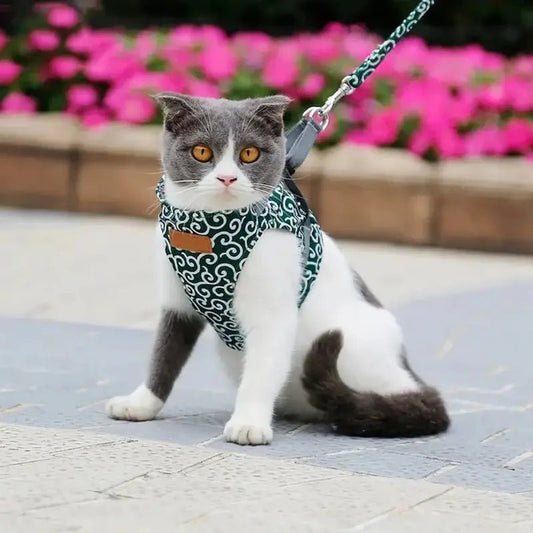 Pettorine Per Gatto Per Gatti