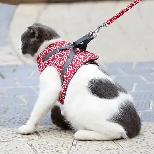 Pettorine Per Gatto