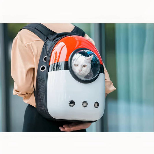 Porta Gatto Zaino Per Gatti