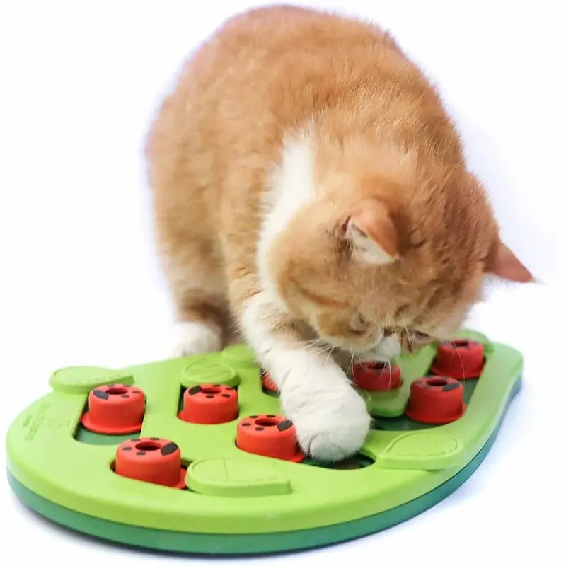 Puzzle Per Gatti Divertente