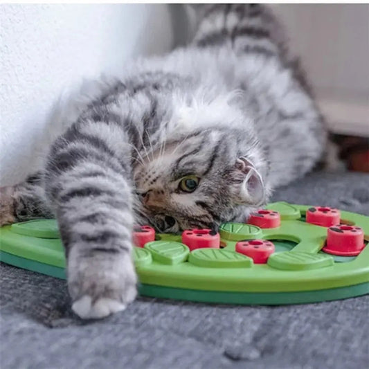 Puzzle Per Gatti Interattivo