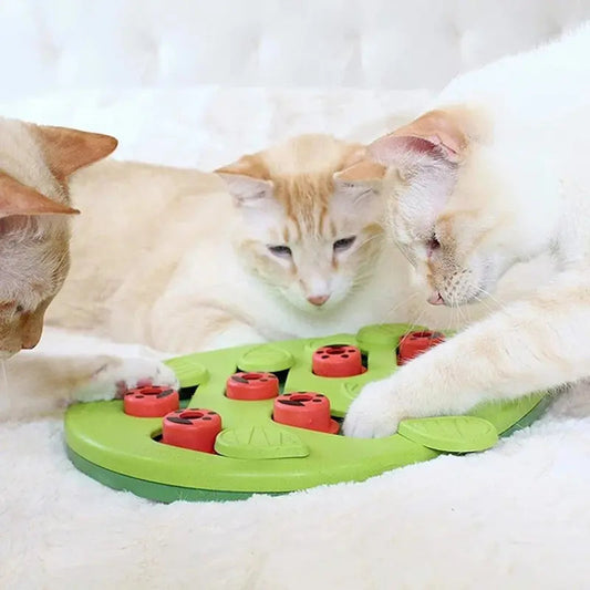 Puzzle Per Gatti