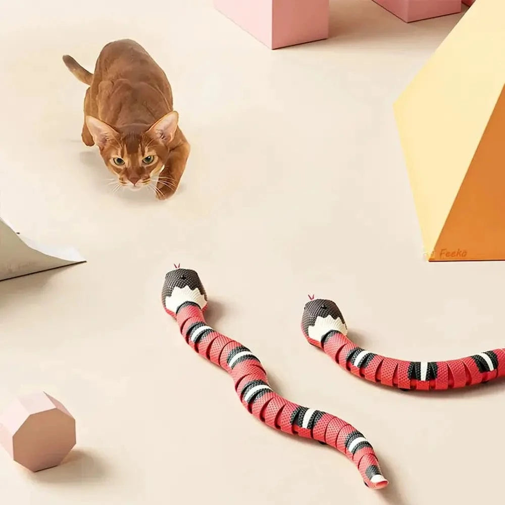 Serpente Giocattolo Per Gatti Divertente