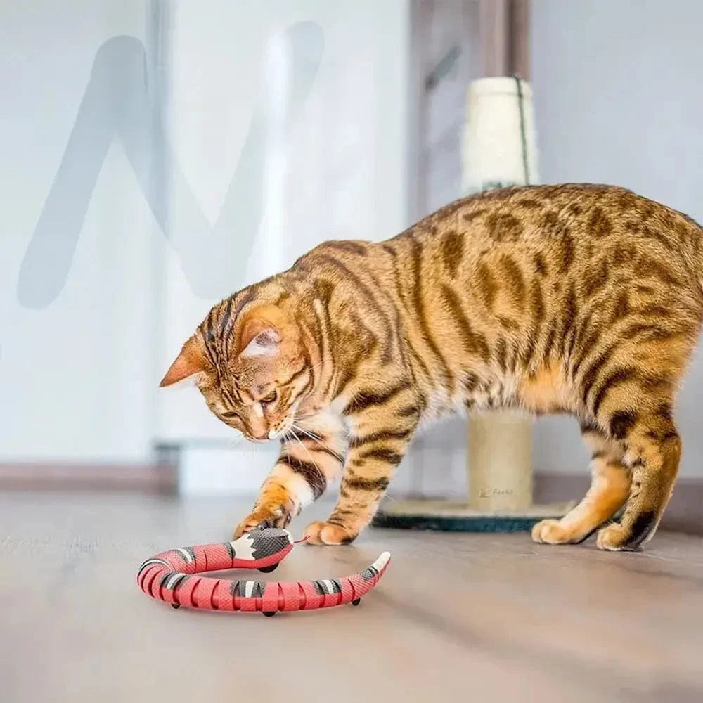 Serpente Giocattolo Per Gatti Interattivo