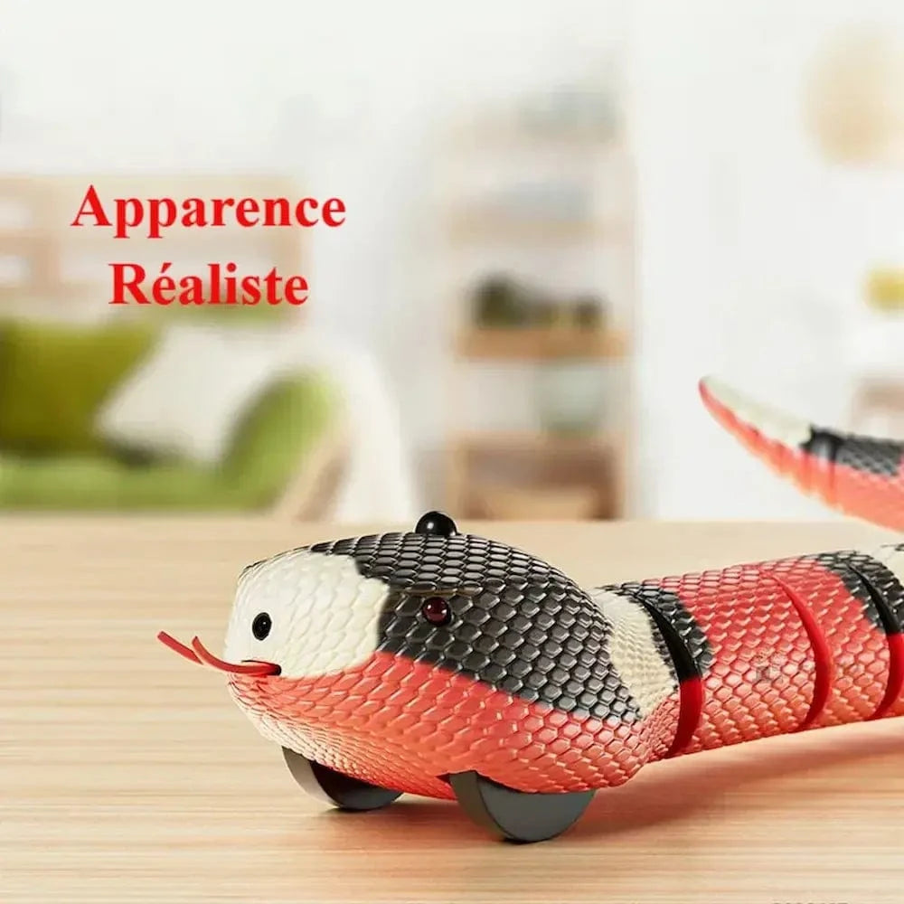 Serpente Giocattolo Per Gatti Per Gattini