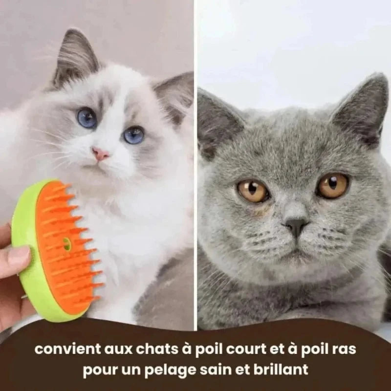 Spazzola A Vapore Per Gatti Districante