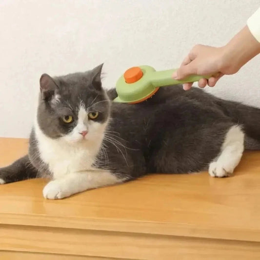 Spazzola Autopulente Per Gatti Antipelo
