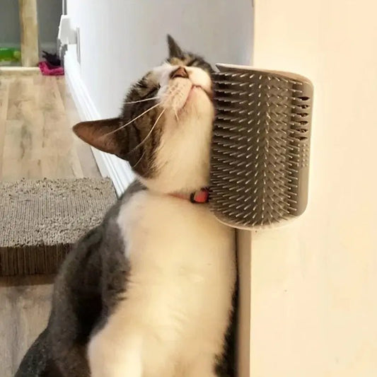 Spazzola Da Parete Per Gatti