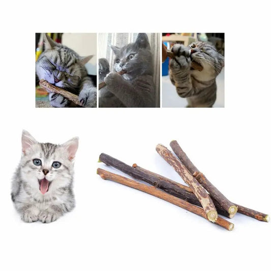 Stick Da Masticare Per Gatti Interattivo