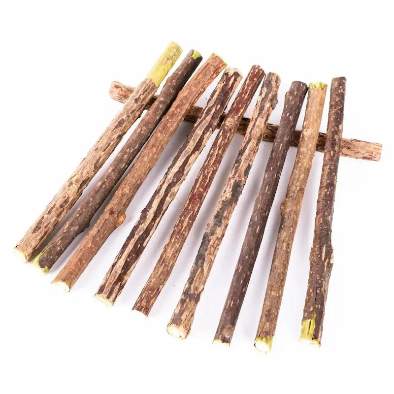Stick Da Masticare Per Gatti Resistente