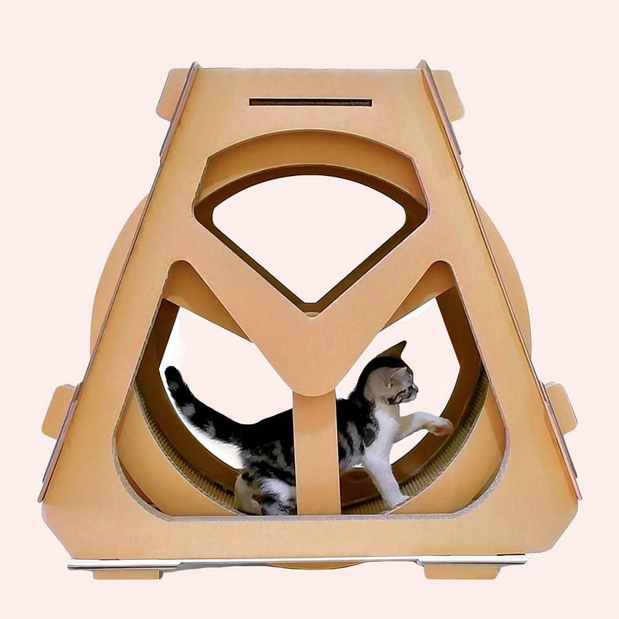 Tapis Roulant Per Gatti