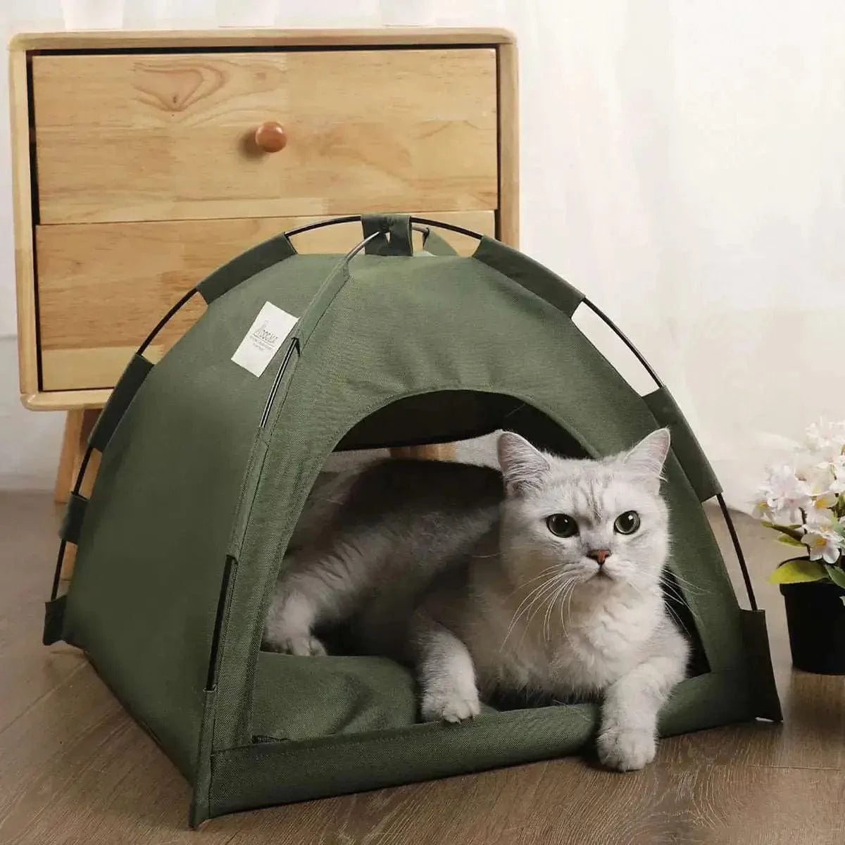 Tenda Per Gatti