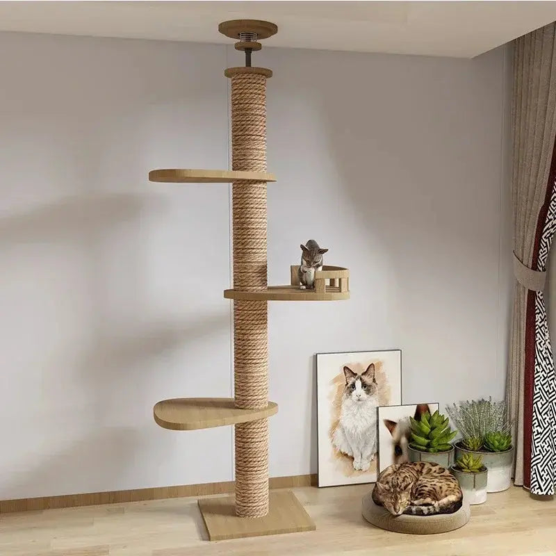 Tiragraffi A Soffitto Con Cuccia