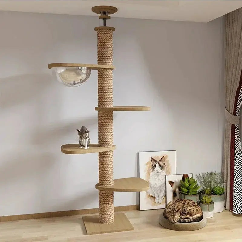 Tiragraffi A Soffitto Design Moderno